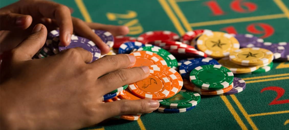 satta matka expert Official Platform, tigerexch 247, satta matka expert