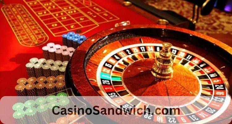 Step by Step satta matka expert Login, satta matka expert, cricbet99, tigerexch 247